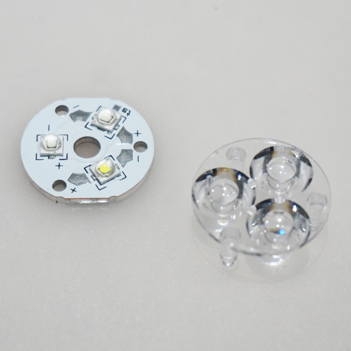 DSC01354_1200x1200.jpg?v=